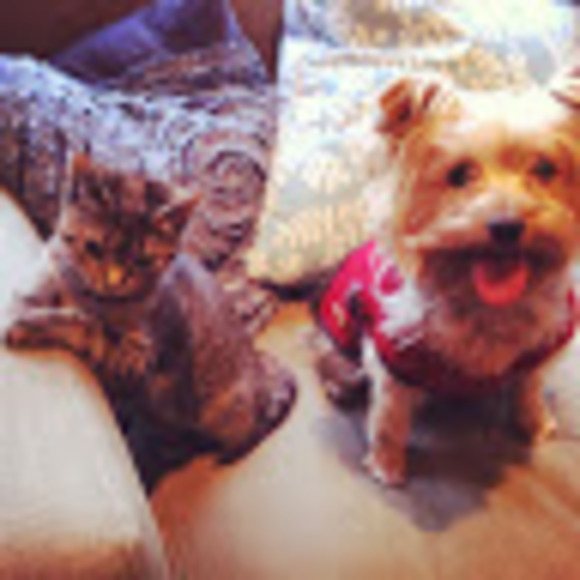 Meet your Posher, Mira - Picture 1 of 1